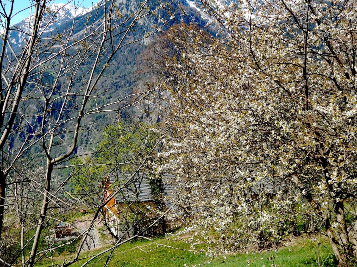 L Ame Et Son Du Coeur Villa Dorenaz Екстериор снимка