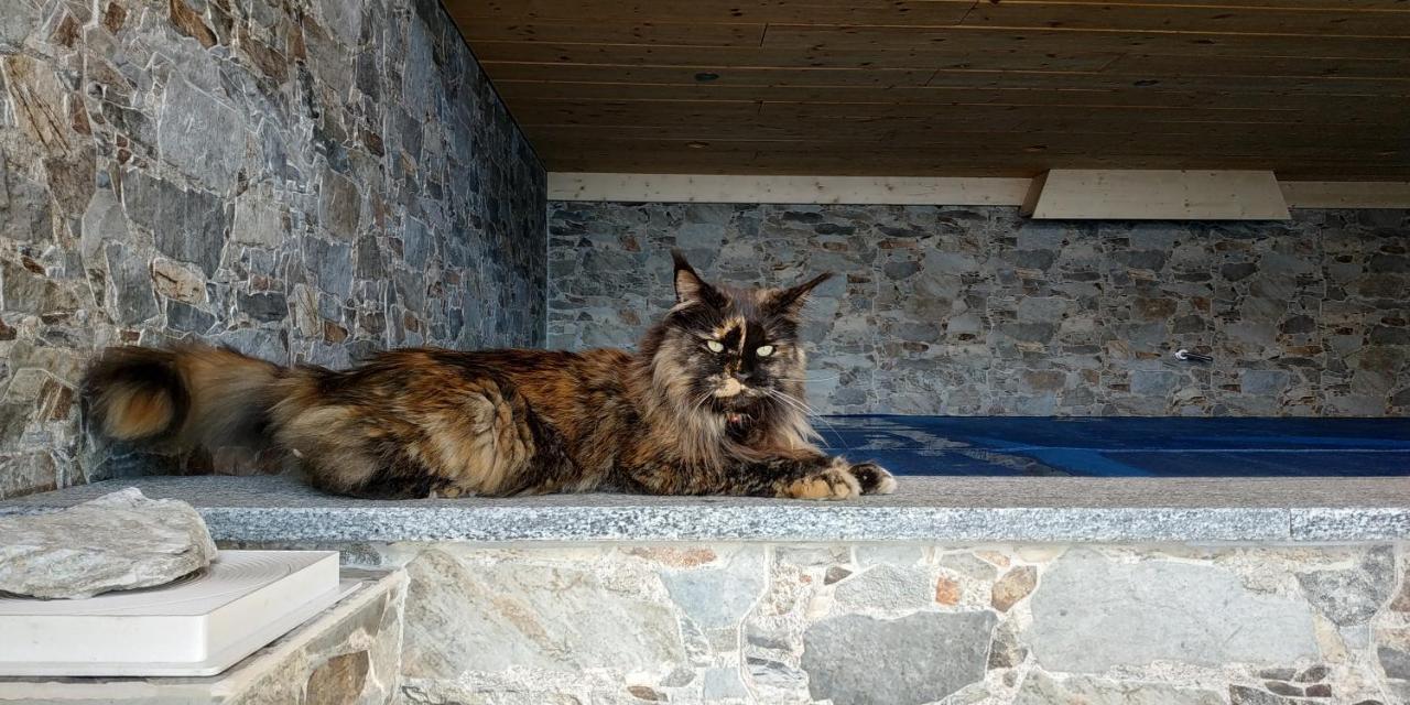 L Ame Et Son Du Coeur Villa Dorenaz Екстериор снимка